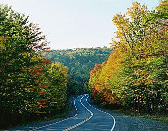 Steam新品节就要玩点新的！2P Games携多款潜力佳作震撼来袭